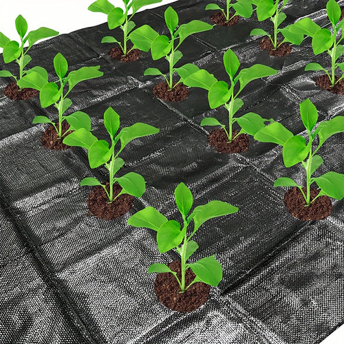 Open hole weed proof cloth -1x10 meters+10 U-shaped ground nails,