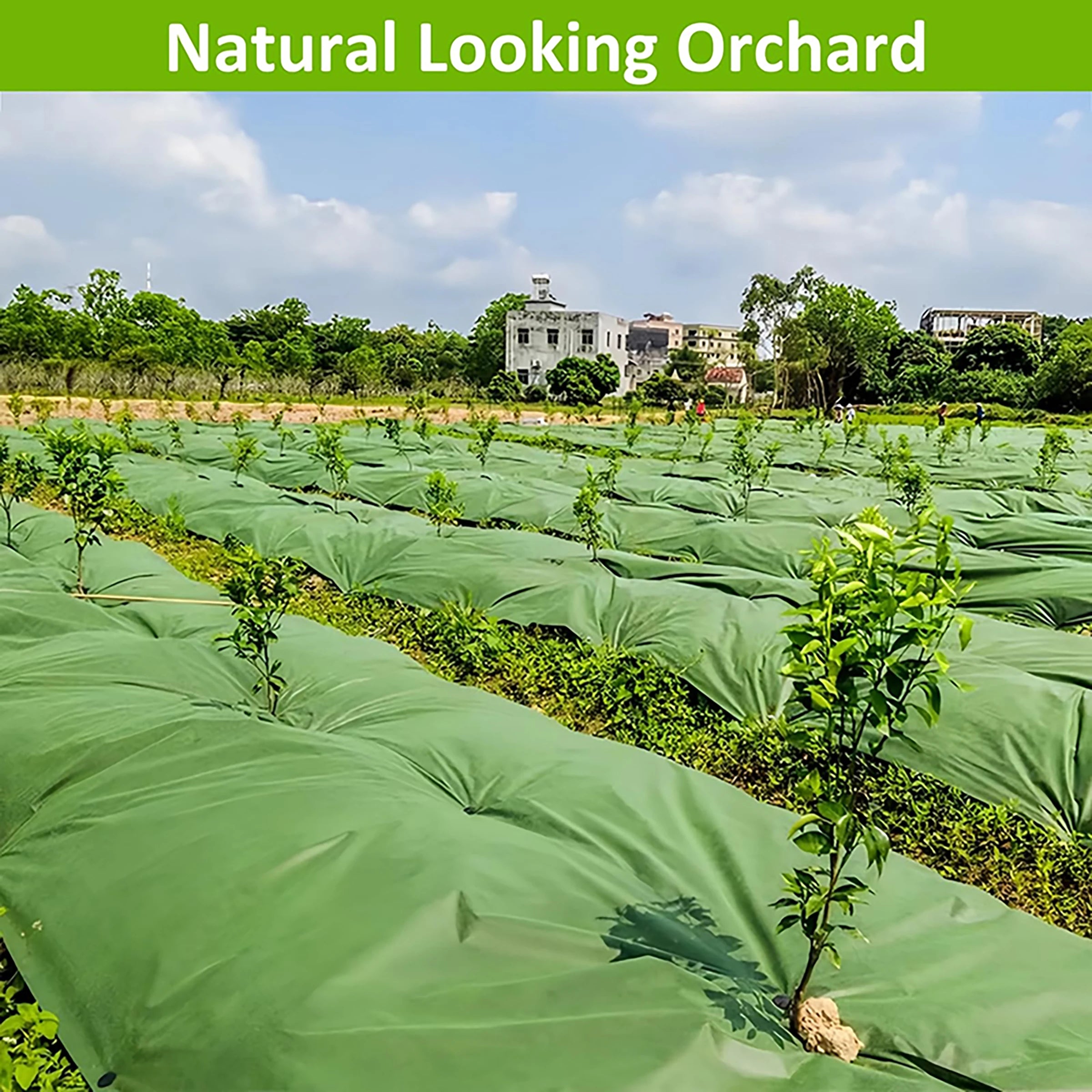 Heavy duty green black landscape grass proof cloth, ground cover,